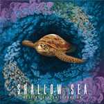 Shallow Sea Board Game: Nesting Season Expansion