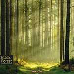 Black Forest Board Game (On Order)
