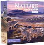 Nature Board Game: Module 4 Arctic Tundra