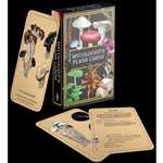 Mycologist's Primer Flash Cards (On Order)