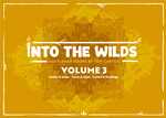 Into The Wilds Battlemaps: Volume 3 Three Book Box Set